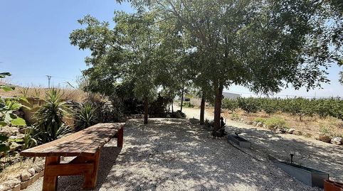 Foto 4 de Finca rústica en venda a Las Cruces, Villena