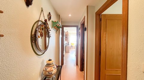 Photo 2 of Flat for sale in Guardamar Playa, Guardamar del Segura