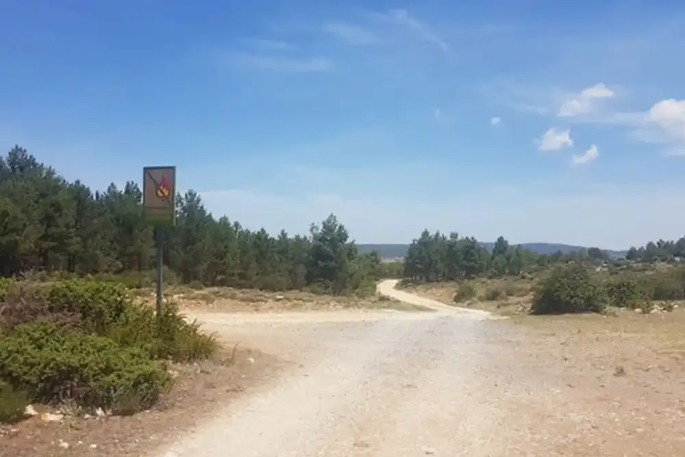 Terreno rústico en venta en Carretera Caravaca, imagen 4