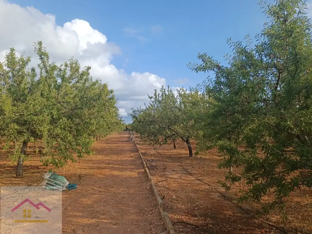 Finca rústica en venda a Calle Oropesa, 14, Torreblanca
