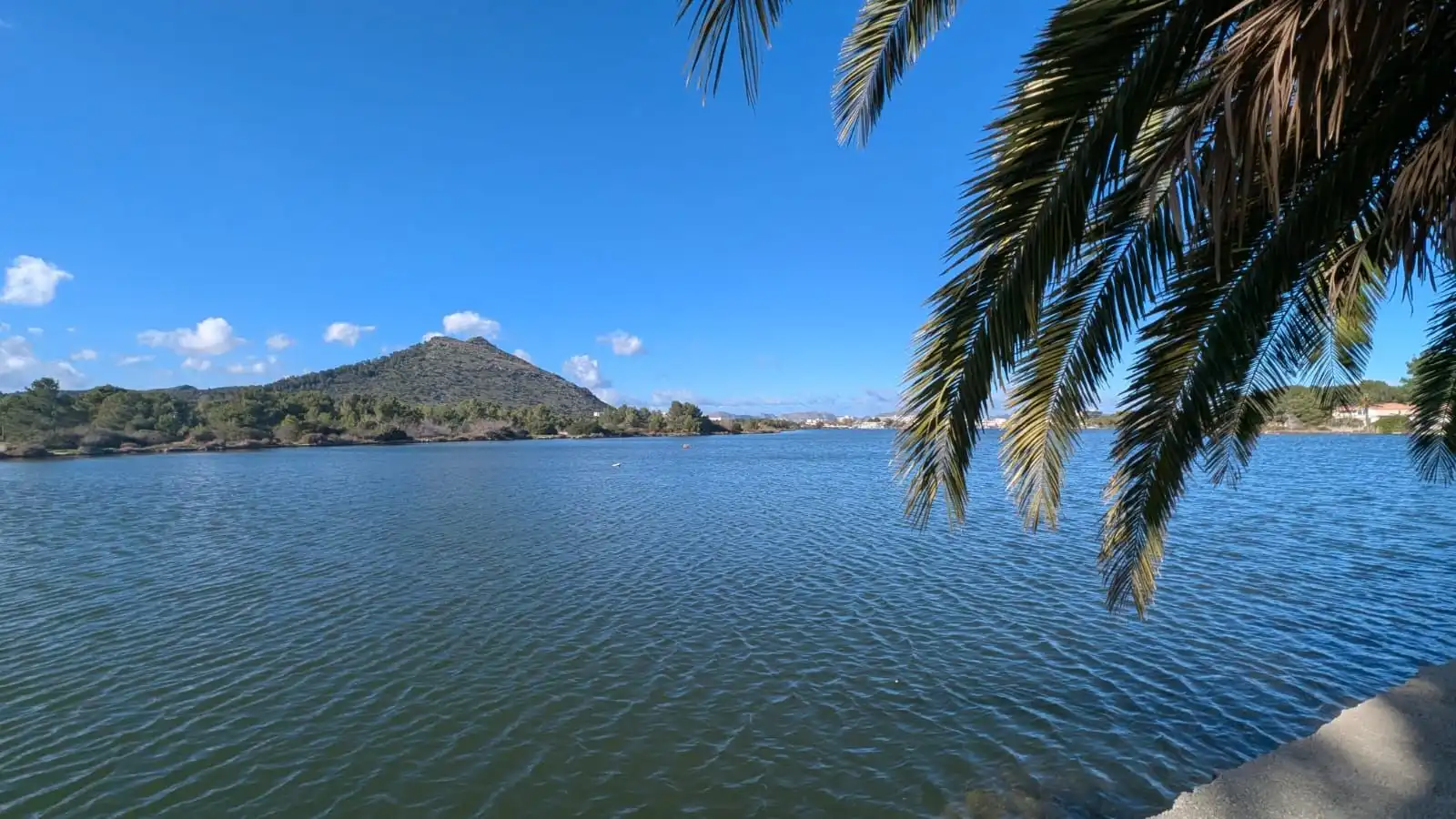 Attique avec terrasse à vendre à Port d'Alcúdia - Platja d'Alcúdia, imagen 22