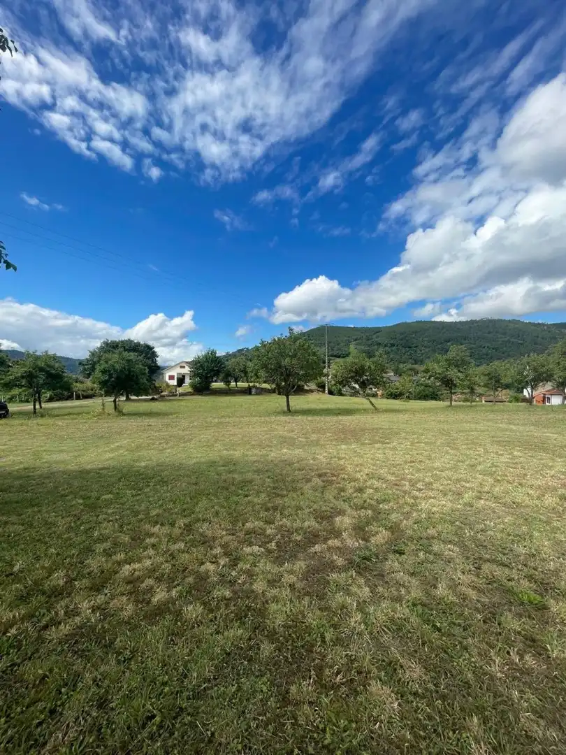 Land for sale in Ribadavia