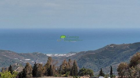 Foto 5 de Finca rústica en venta en Cómpeta, Málaga