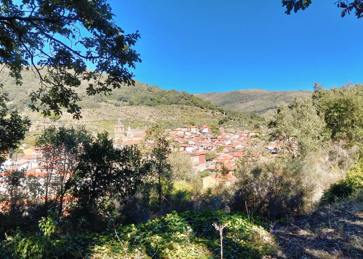Vista exterior de Residencial en venda en Pasarón de la Vera