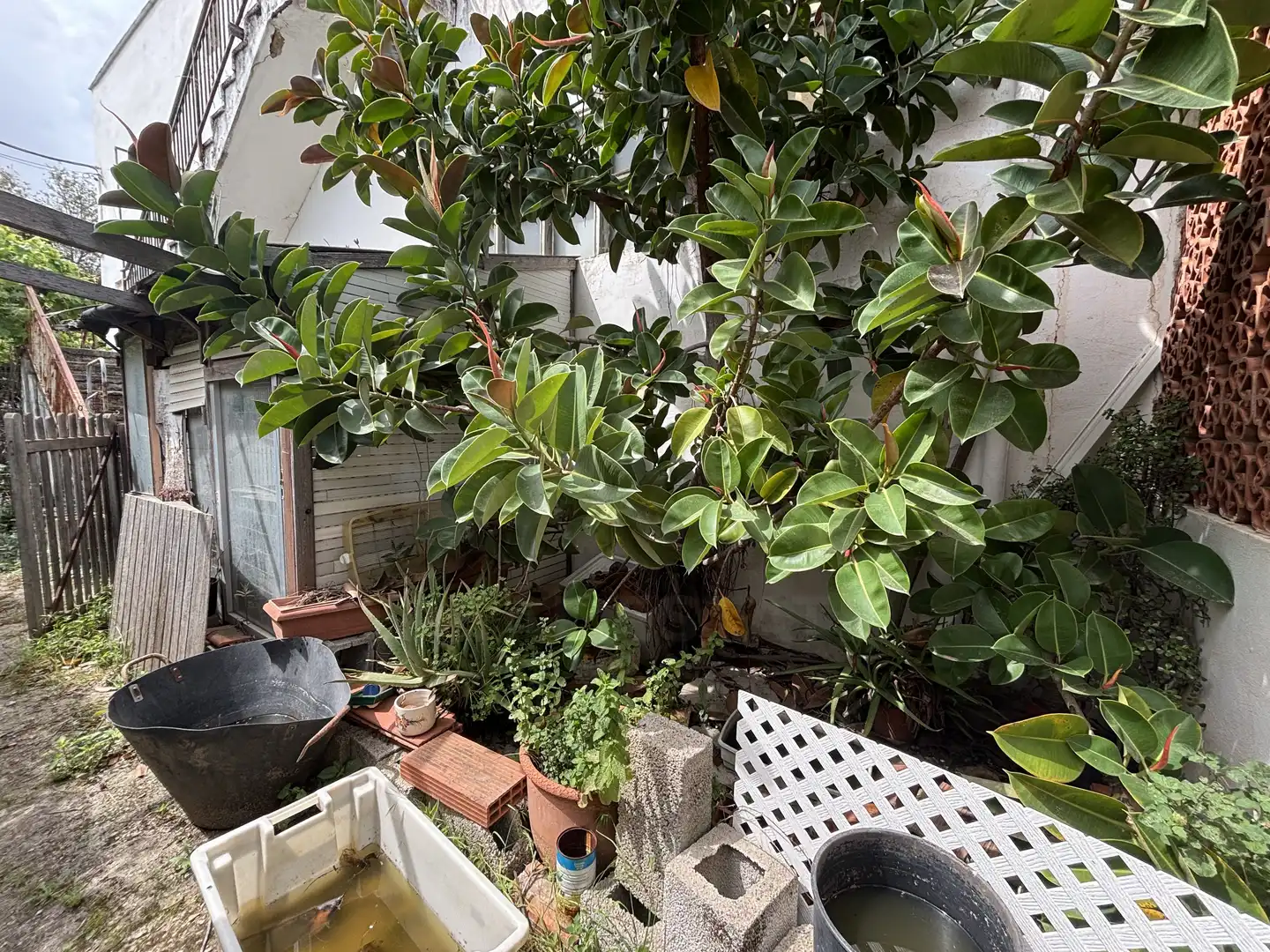 Terraza de Edificio en venta en Dénia