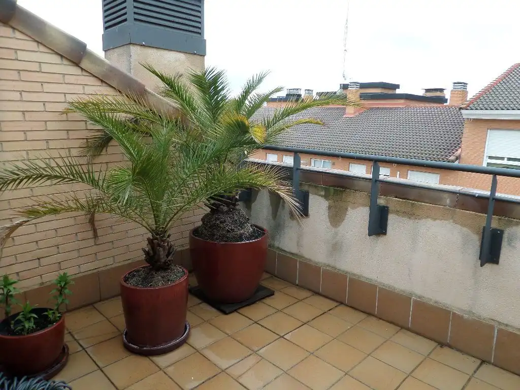 Terrace of Duplexes for rent in San Agustín del Guadalix  with Heating, Terrace and Storage room