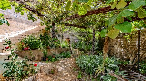 Foto 3 de Finca rústica en venta en Calle el Barbecho, Vilaflor de Chasna, Santa Cruz de Tenerife