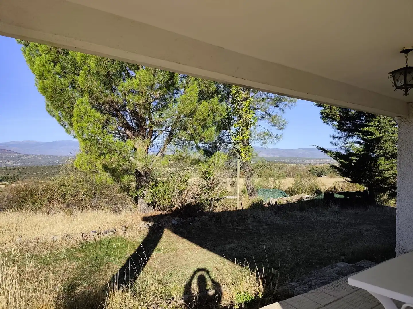 Jardín de Casa o chalet en venta en Berzosa del Lozoya con Jardín privado y Terraza