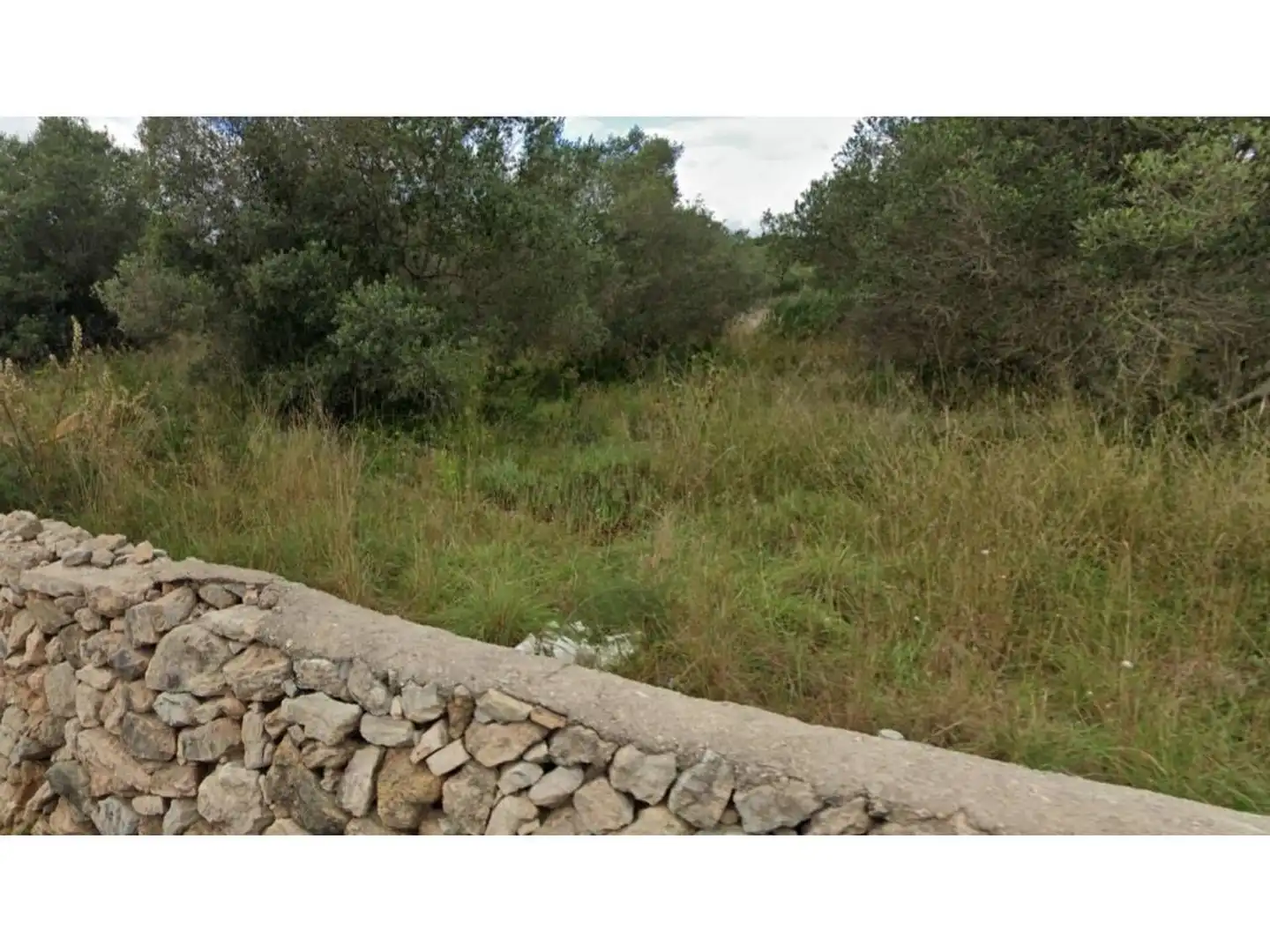 Terrain rustique à vendre à Camino B-del Llorito, imagen 5