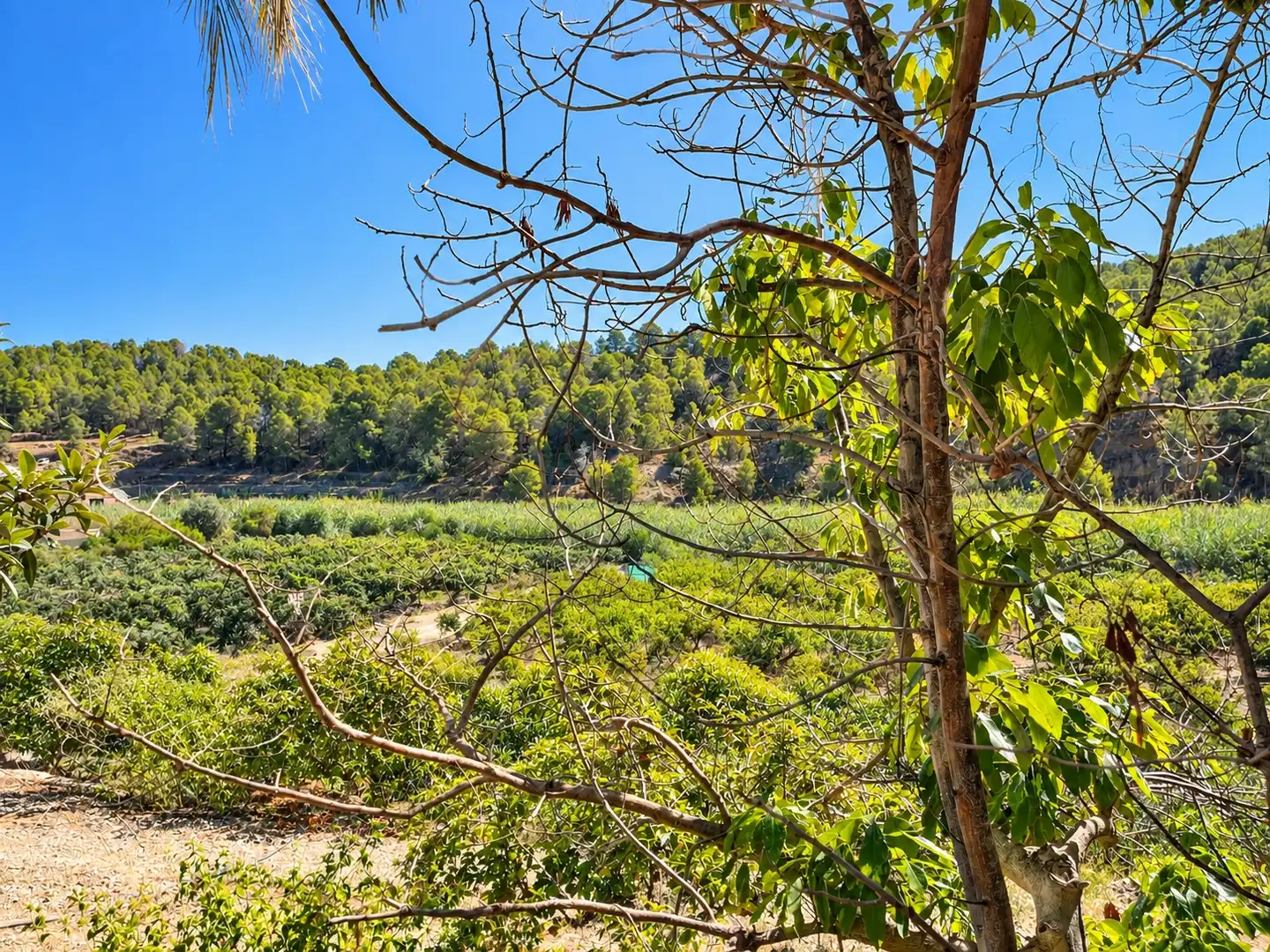 Maison rustique à vendre à Altea ciudad, imagen 19