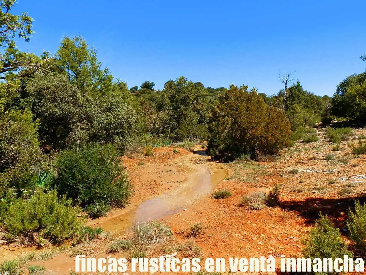 Lands and plots for sale in Ossa de Montiel, imagen 12