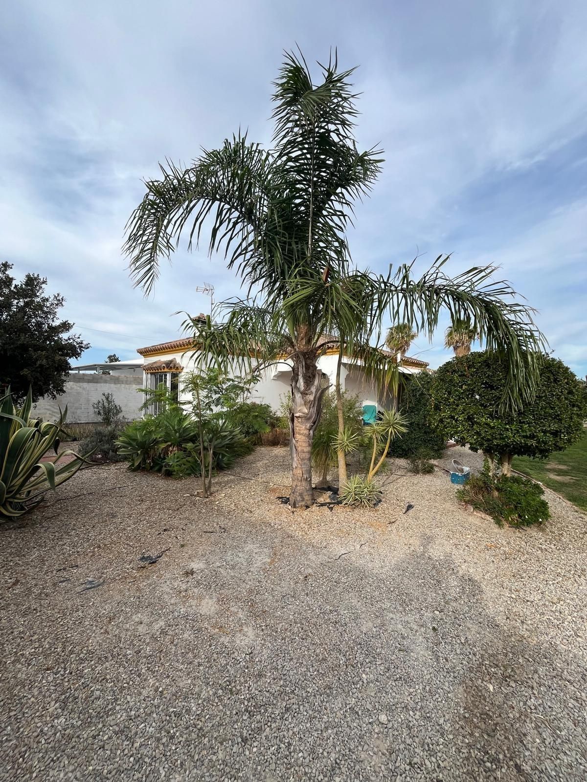 Exterior view of House or chalet for sale in Chiclana de la Frontera