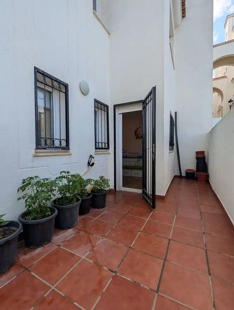 Rez-de-chaussée avec terrasse à vendre à Reina sofia 45, imagen 32