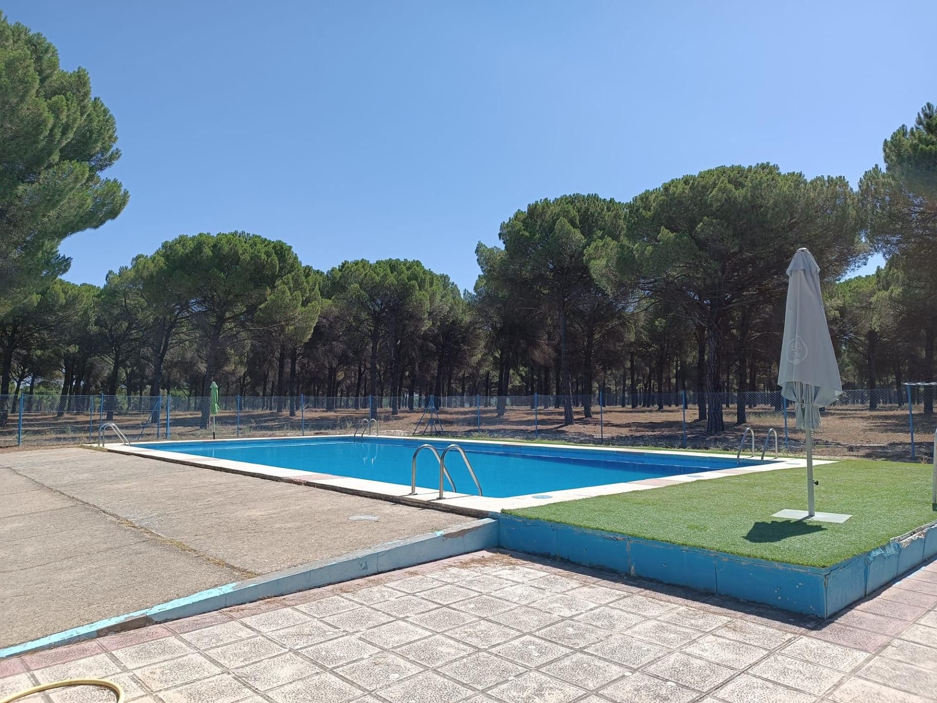 Swimming pool of Country house for sale in Villanueva de Duero  with Terrace