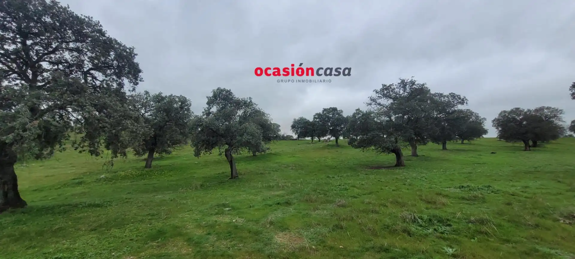 Casa rústica en venta en Pedroche, imagen 4