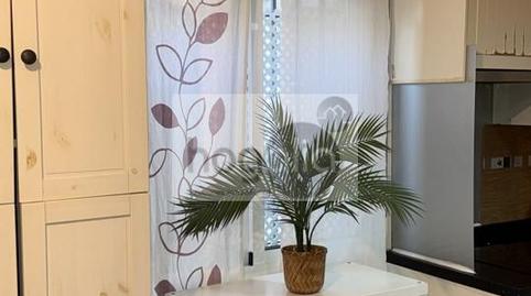 Foto 2 de Planta baixa de lloguer a Barrio del Nervión,  Sevilla Capital