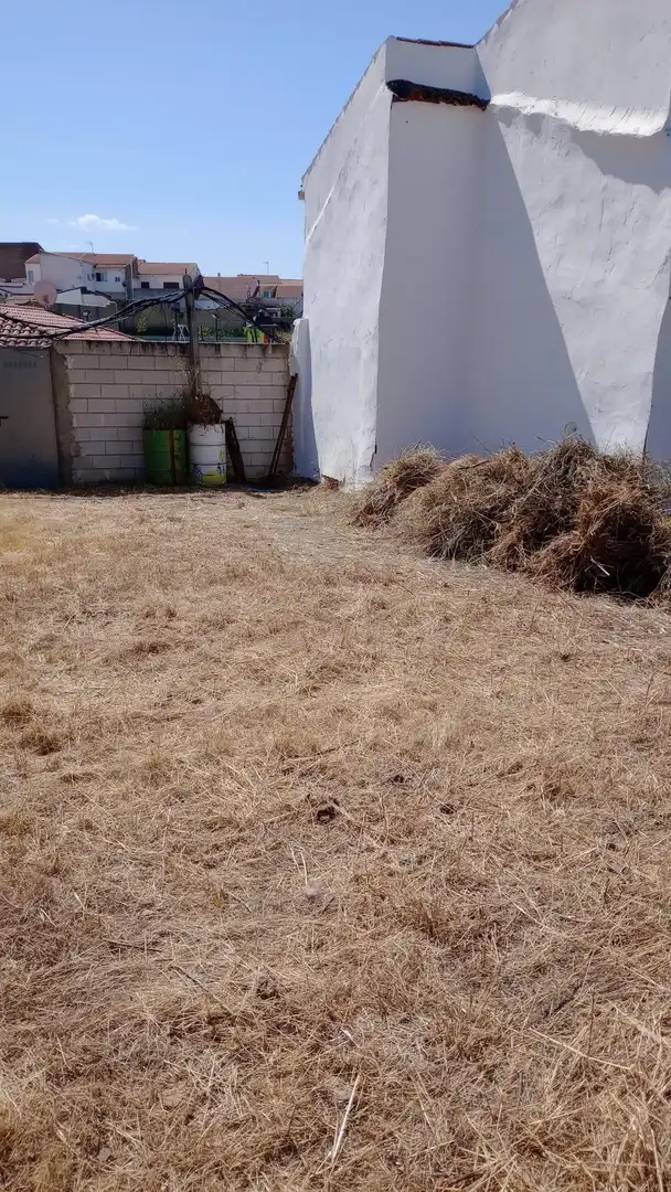 Garden of Residential for sale in Don Álvaro