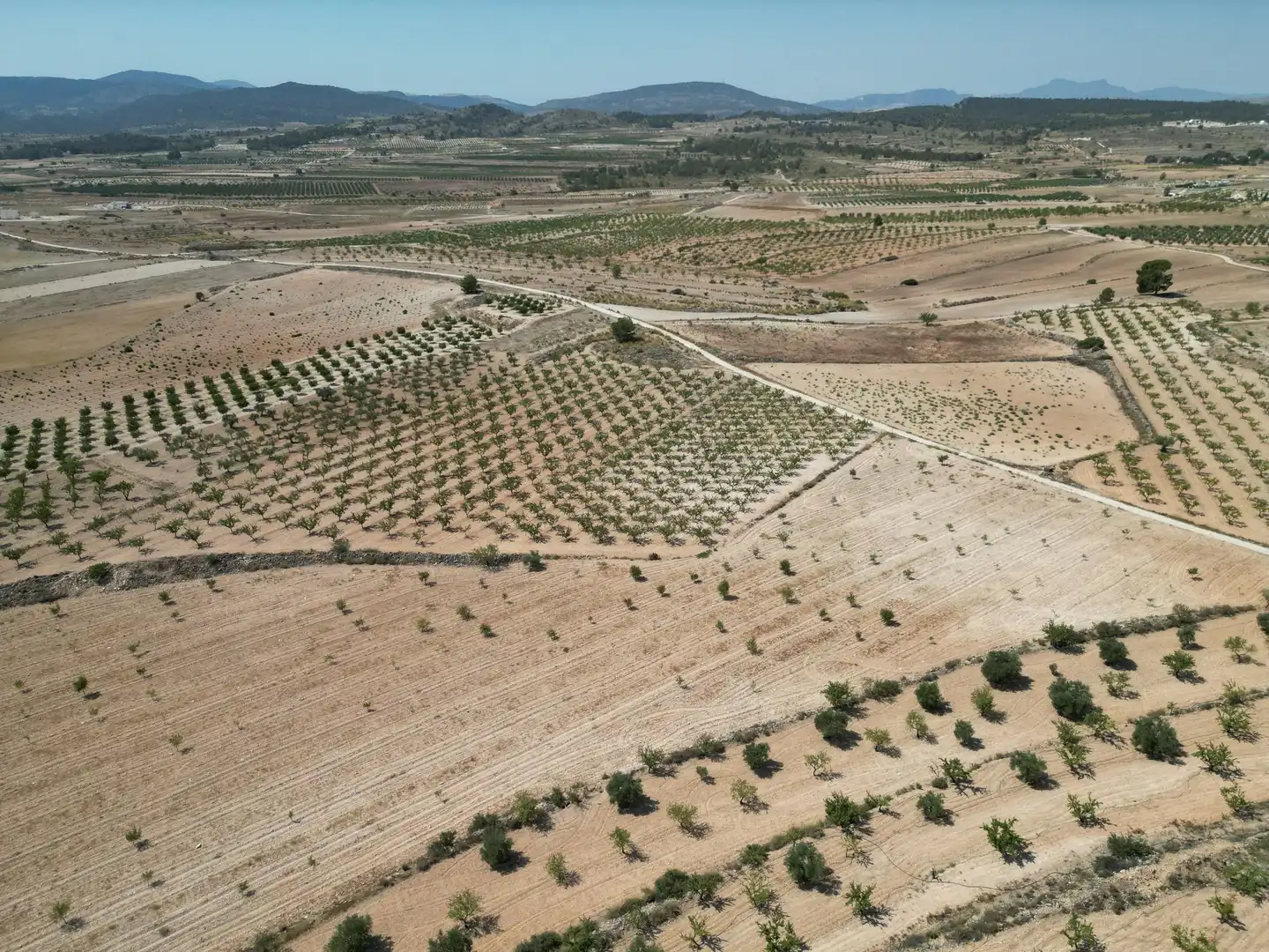 Terreno residencial en venta en El Pinós / Pinoso, imagen 12
