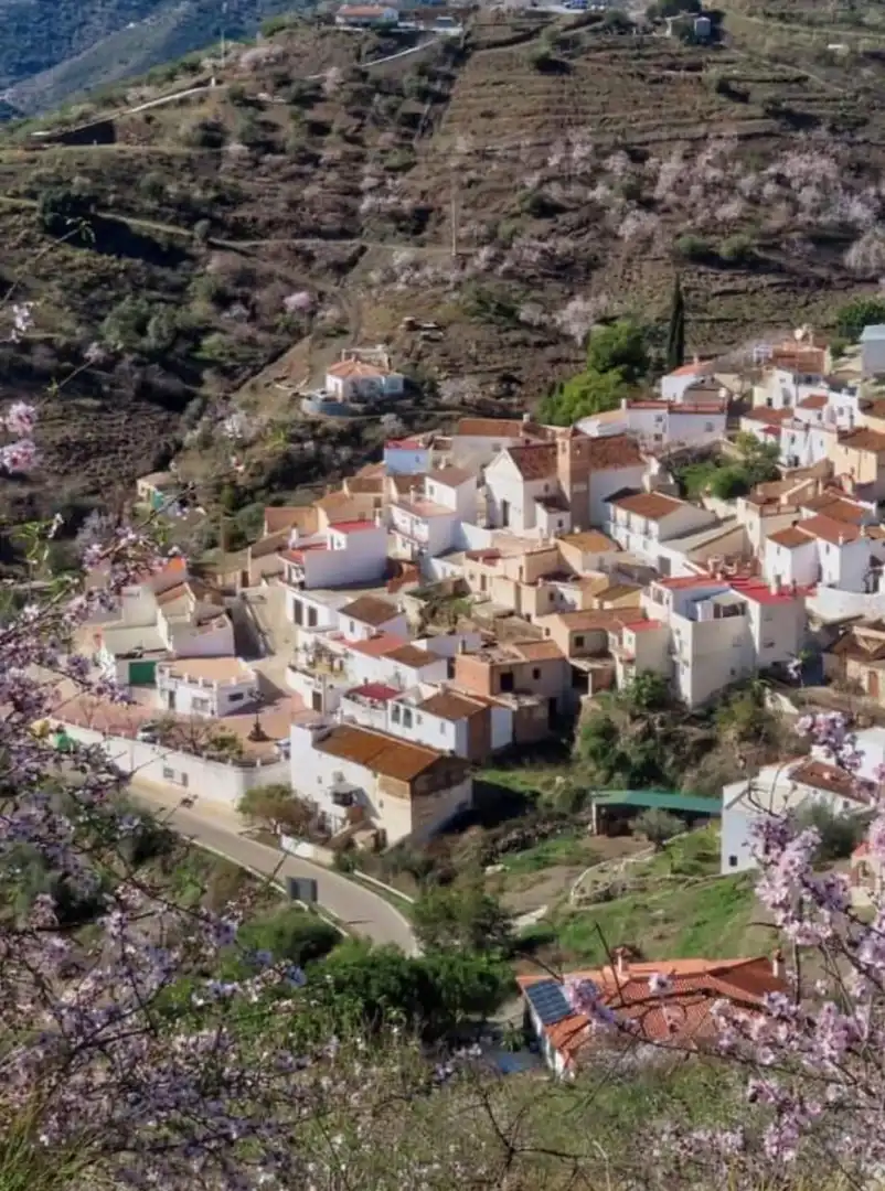 Lands and plots for sale in Arenas, imagen 2