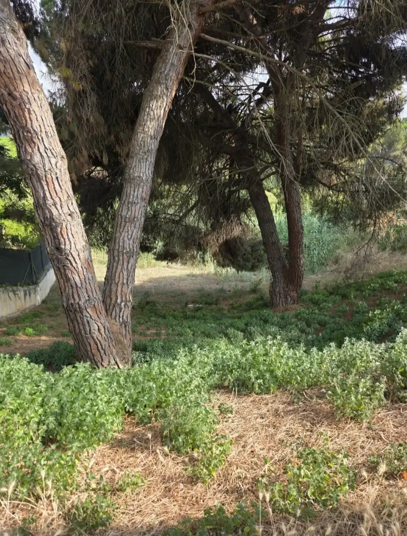 Terreno residencial en venta en Martorelles, imagen 3