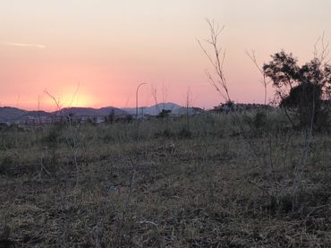 Terreny rústic en venda a Zafra
