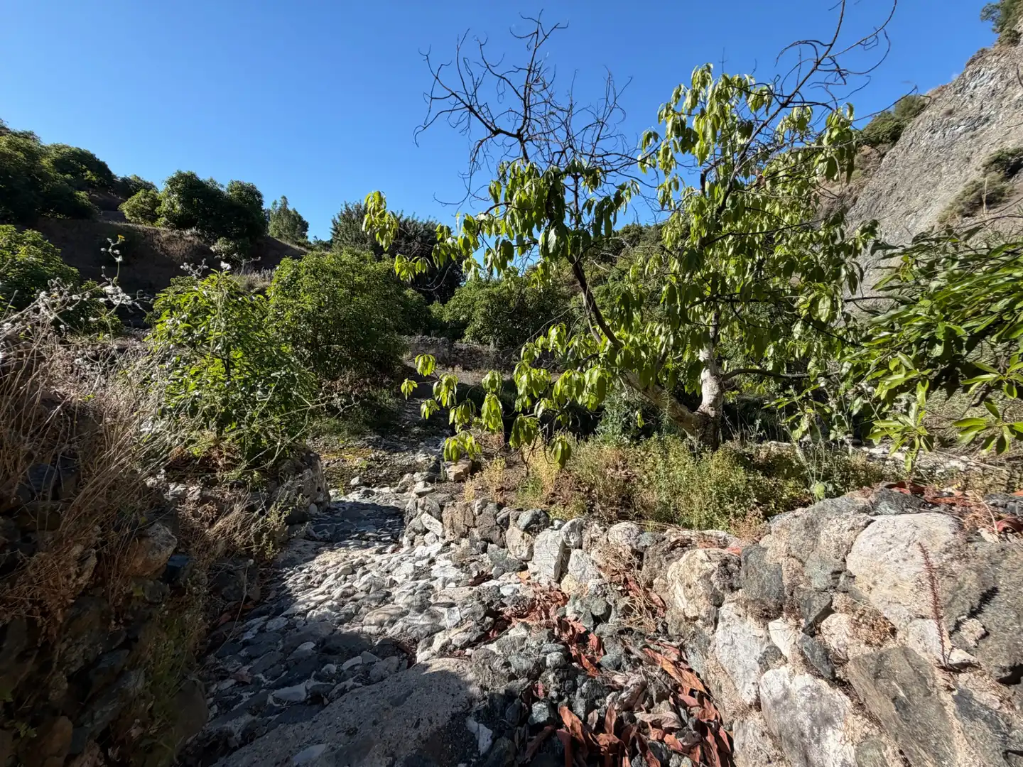 Finca rústica en venta en Yunquera con Jardín privado, Piscina y Amueblado