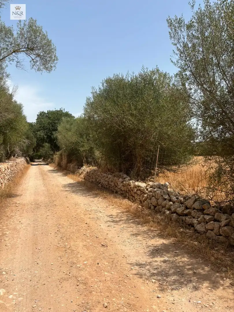 Finca rústica en venta en Sencelles