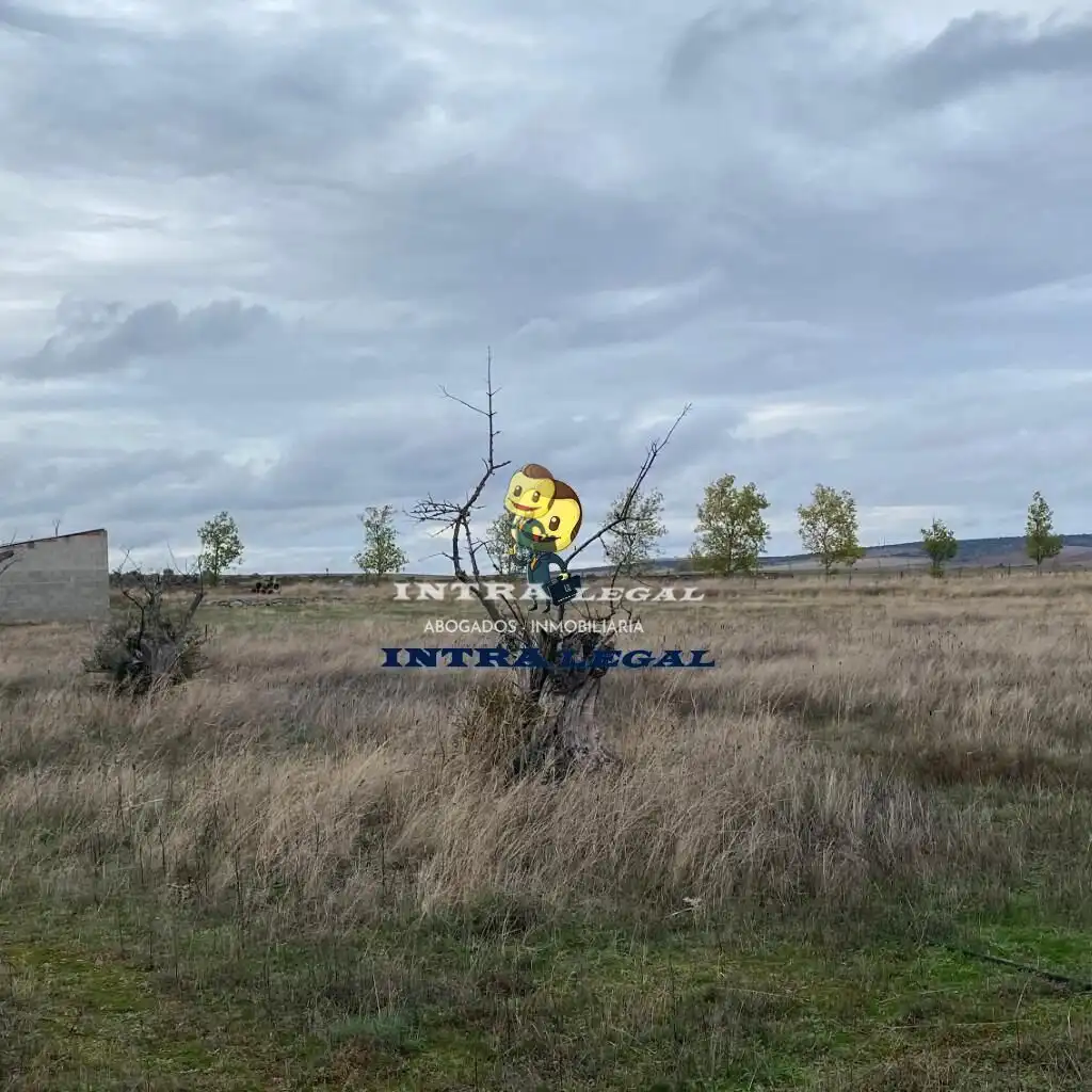 Land for sale in Miranda de Azán