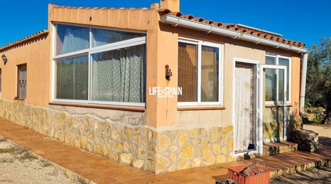 Finca con pozo proprio y luz solar a cerca de L'Ampolla, immagine 2