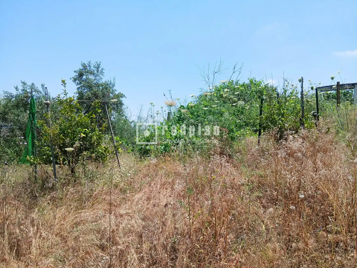 Terreno residencial en venta en Diseminado, imagen 18