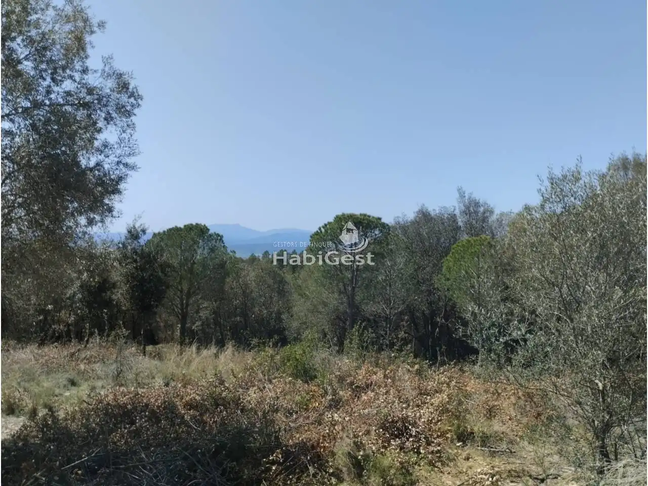 Land for sale in Girona