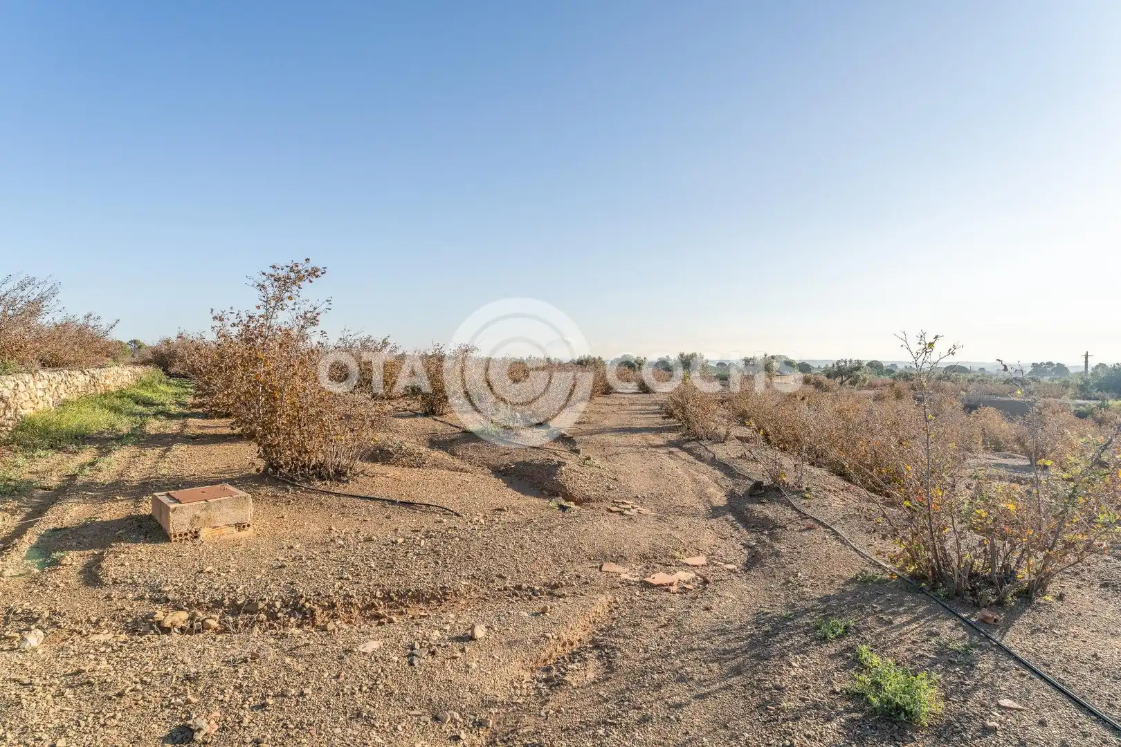 Finca rústica en venta en Castellvell del Camp