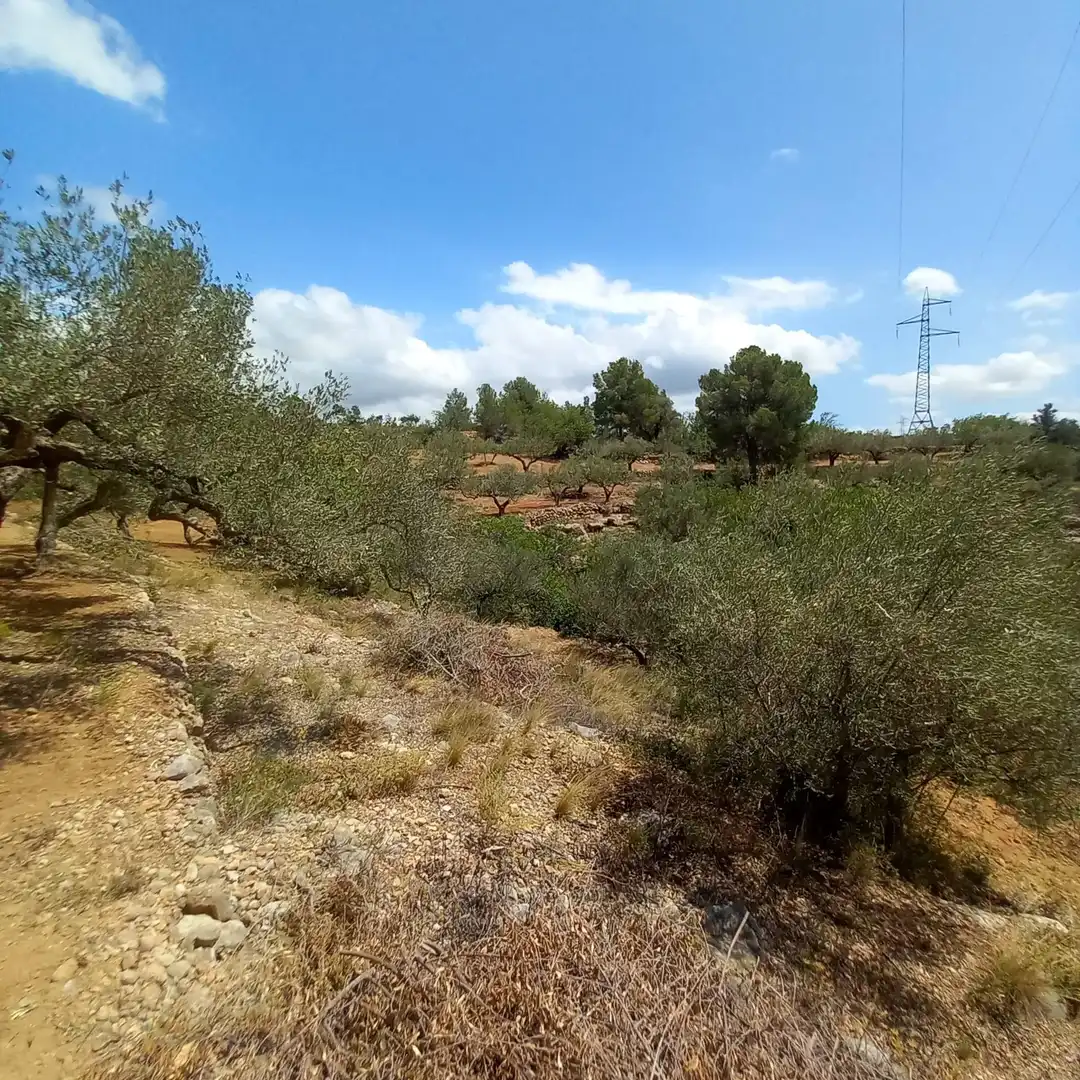 Terrain rustique à vendre à Bítem, imagen 9