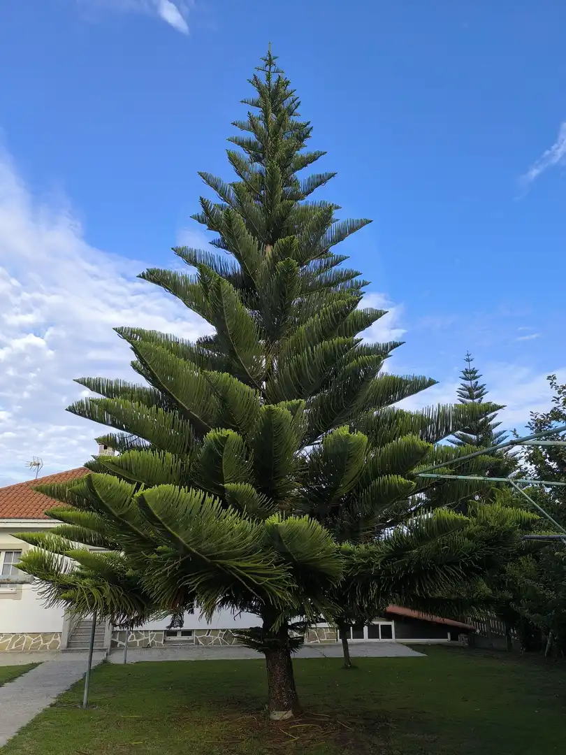 Casa amb piscina en venda a Valdoviño, imagen 31