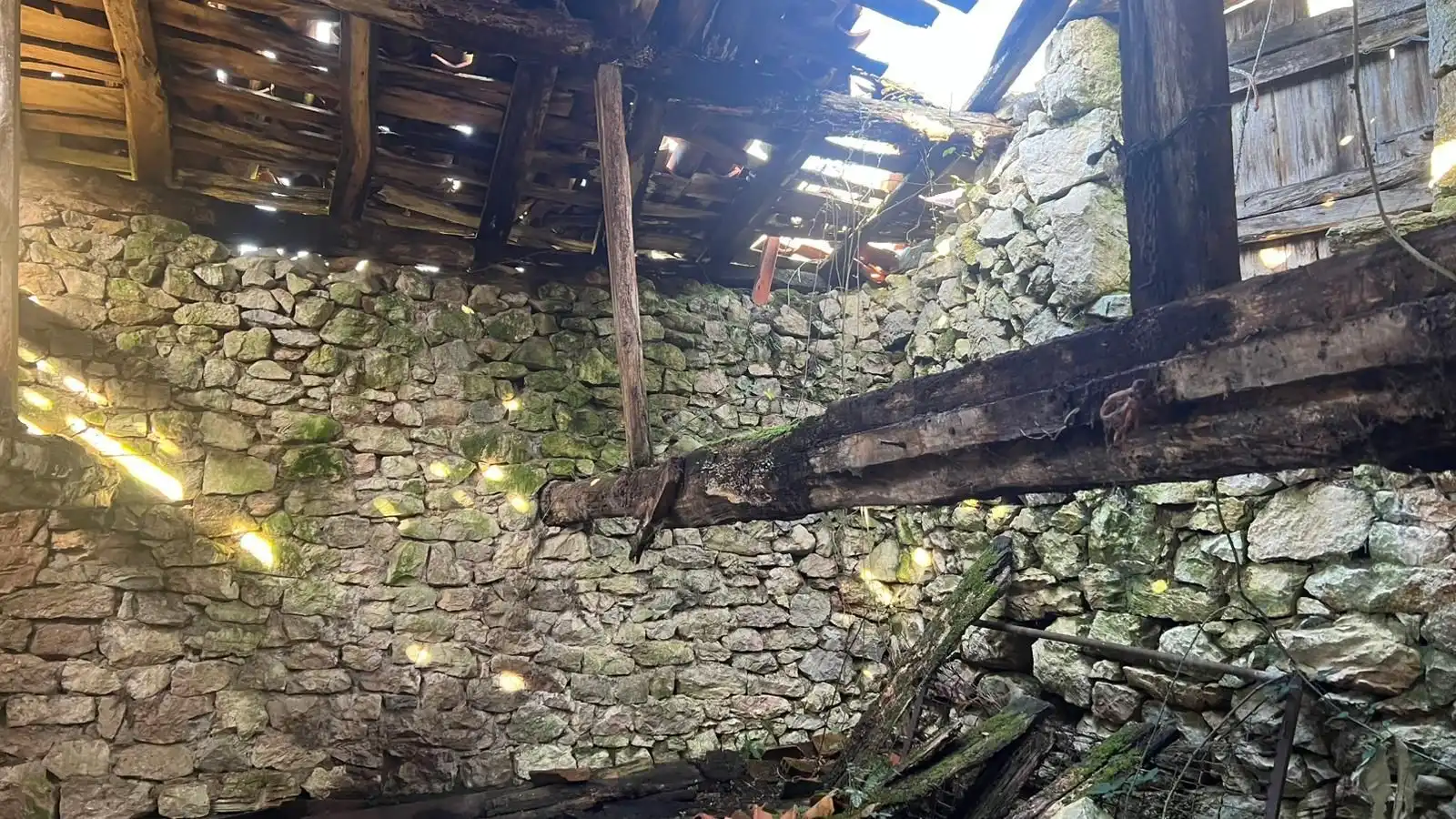 Terreno rustico in vendita a Cangas de Onís, imagen 38