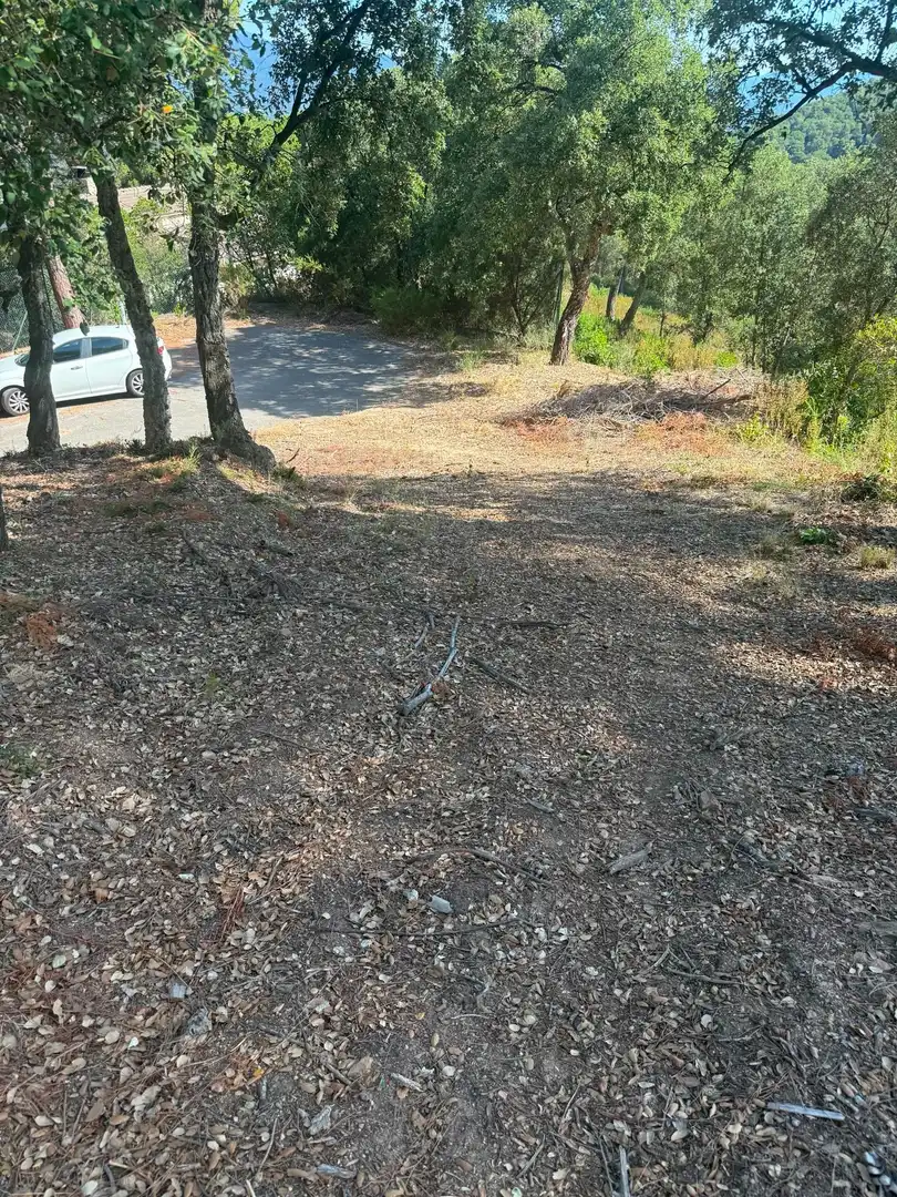 Terreni e lotti in vendita a Sant Celoni, imagen 13