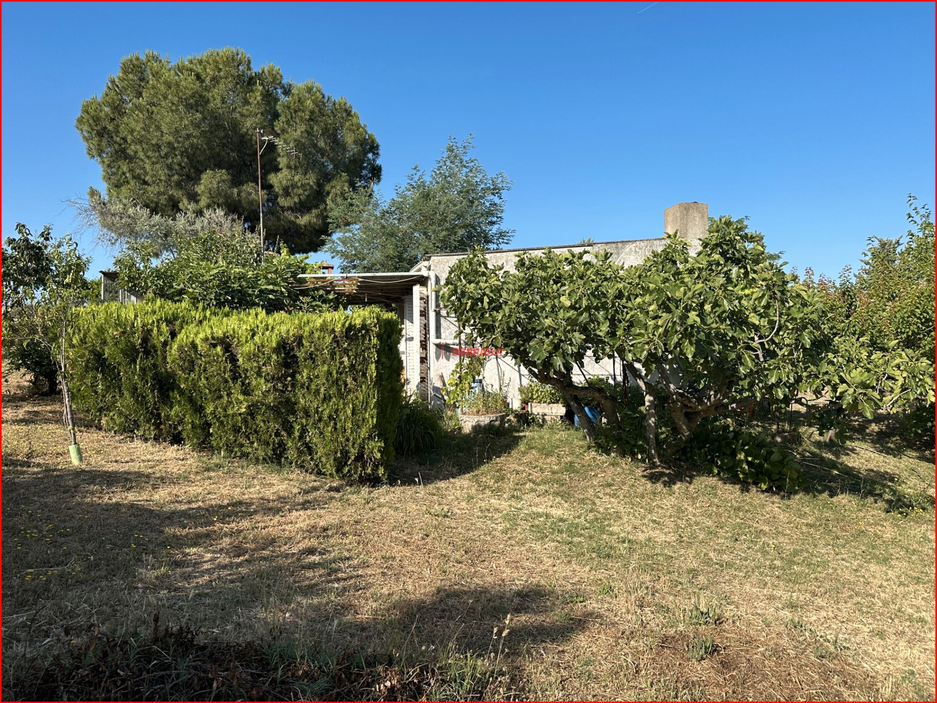 Jardí de Finca rústica en venda en La Torre de Esteban Hambrán amb Jardí privat