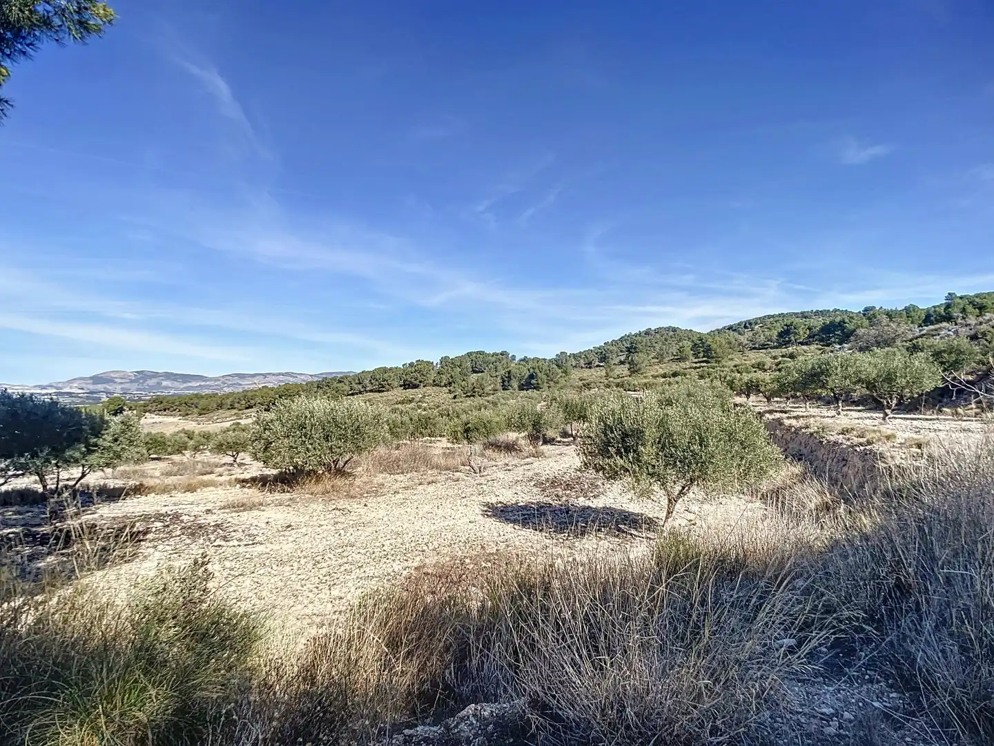 Finca rústica en venta en Tibi con Jardín privado, Terraza y Trastero