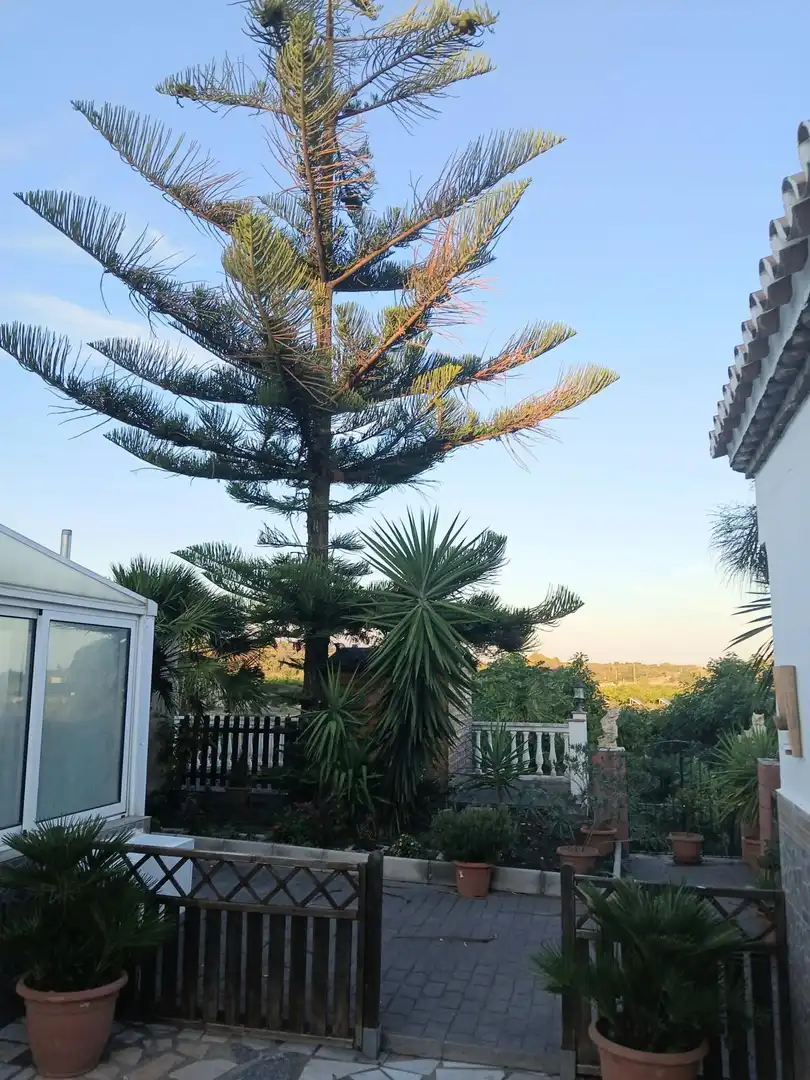 Casa rústica con piscina en venta en Punta Plata, imagen 33