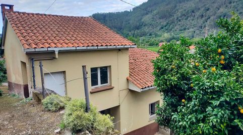Foto 2 de Finca rústica en venda a Pravia, Asturias