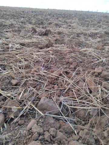 Terreno en Venta en Calle Huerta en Rollán