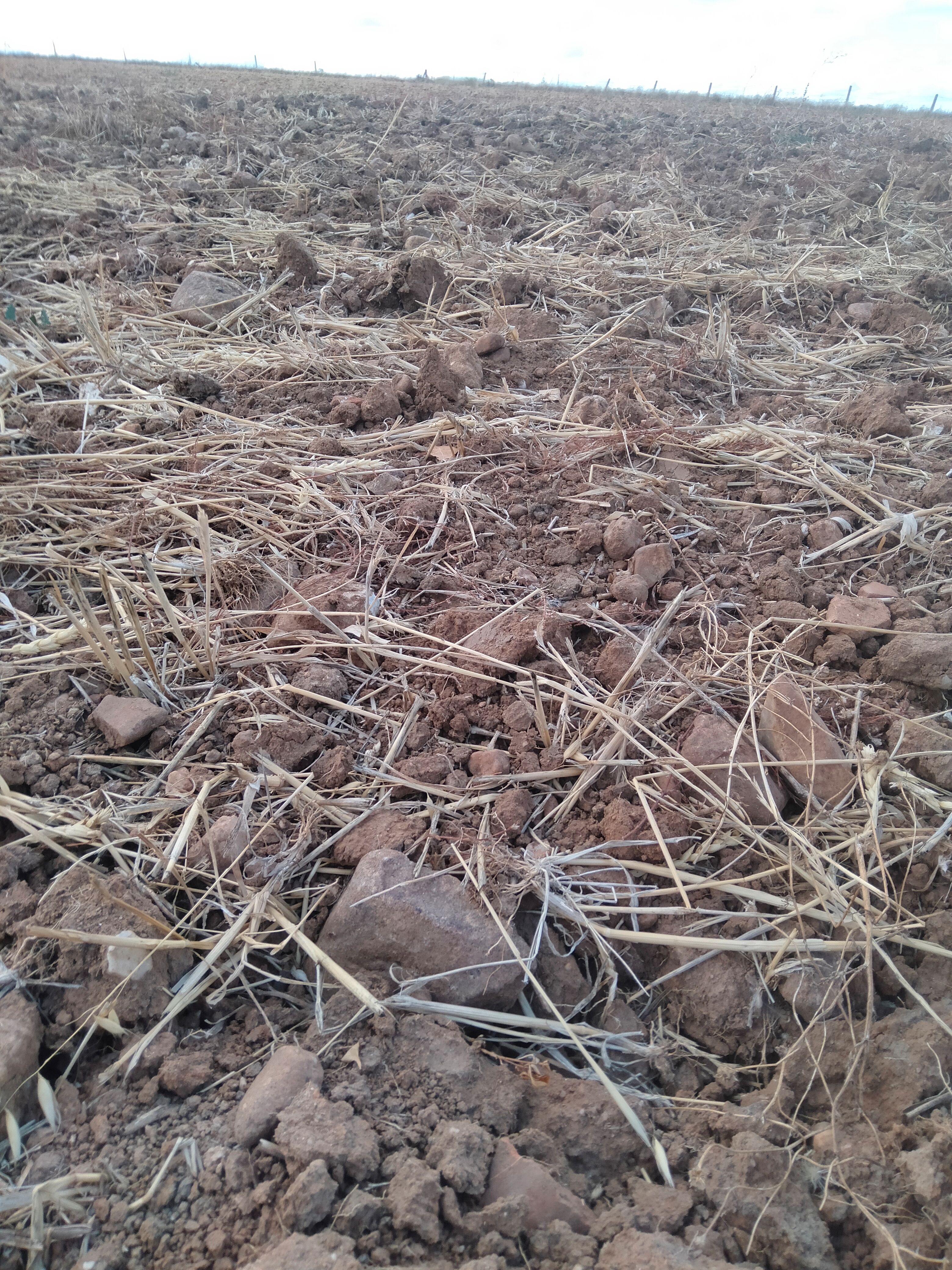 Terreno en venta en Calle Huerta, Rollán