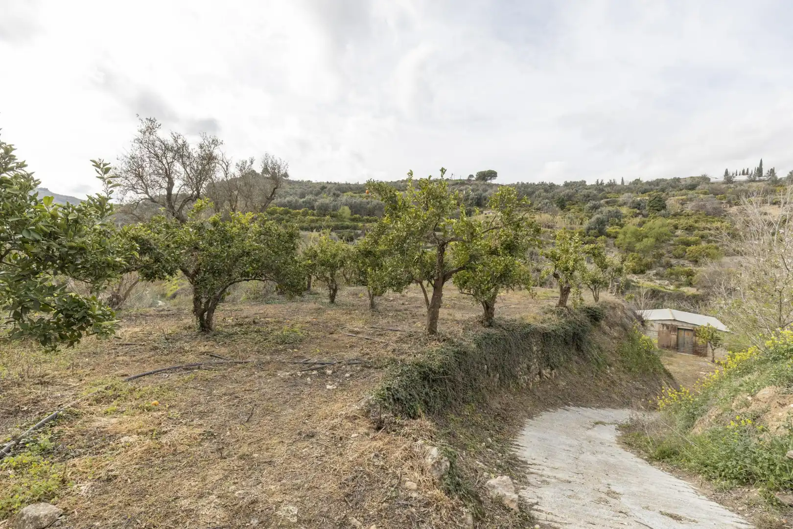Terreno en venta en El Valle