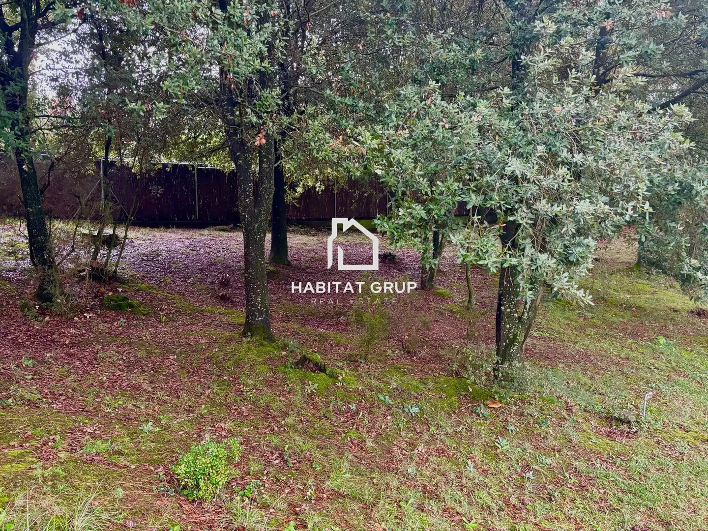 Casa con jardín en venta en Taradell, imagen 8