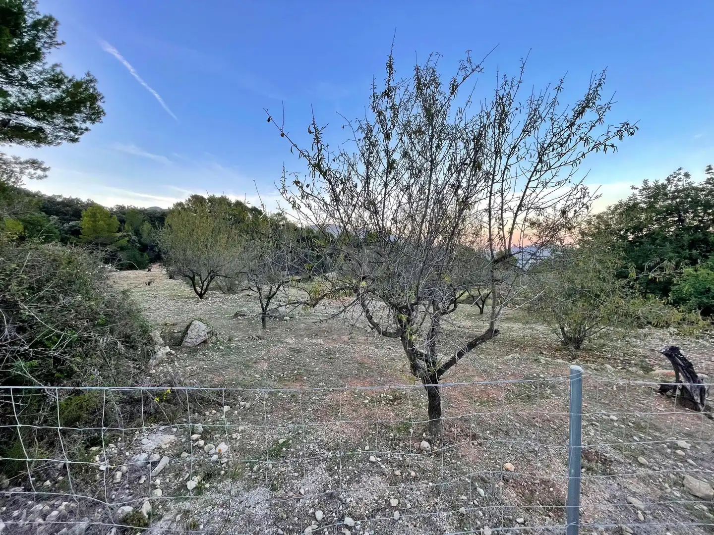 Residencial en venta en Murla