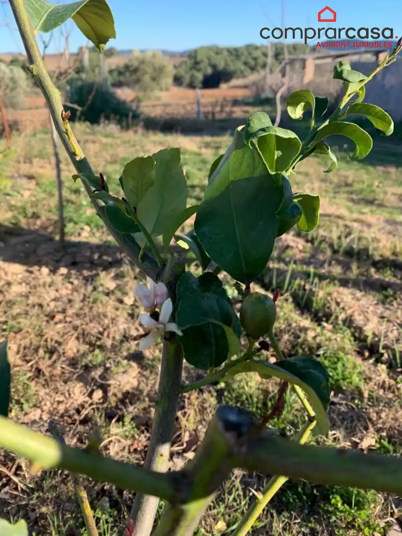 Terreno residencial en venta en Sant Llorenç d'Hortons, imagen 3