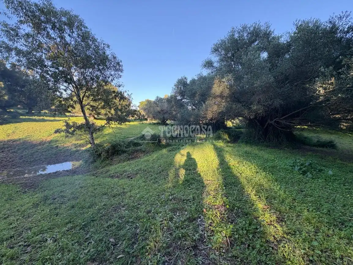 Terreno en venta en Barbate