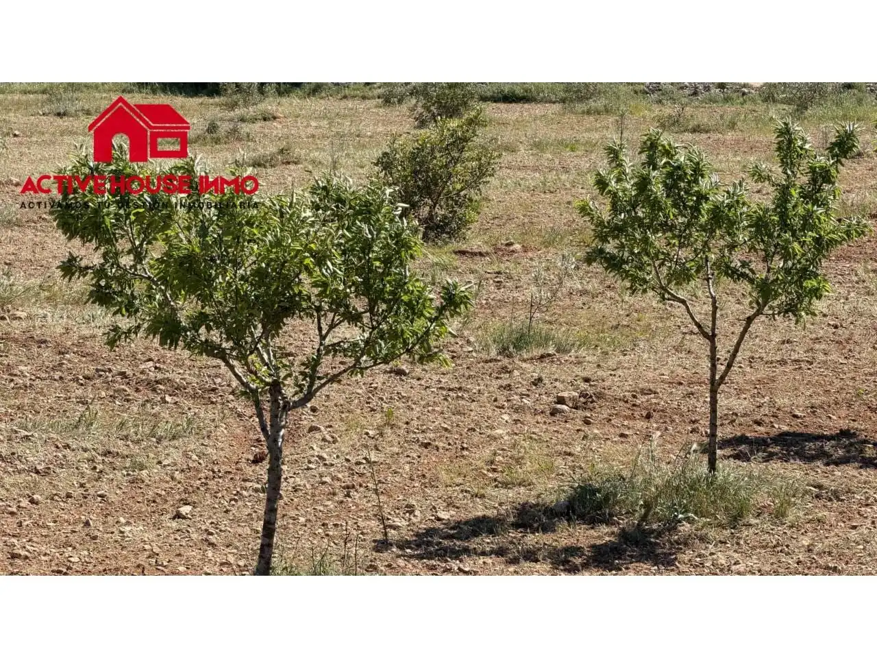 Rural land for sale in Calle Poligono 40 Planetes, imagen 3
