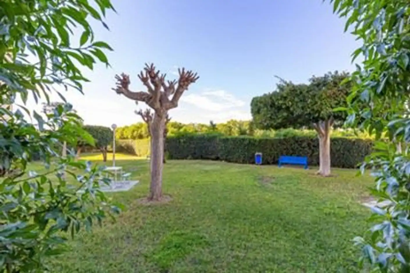 Ground floor for sale in Los Europeos