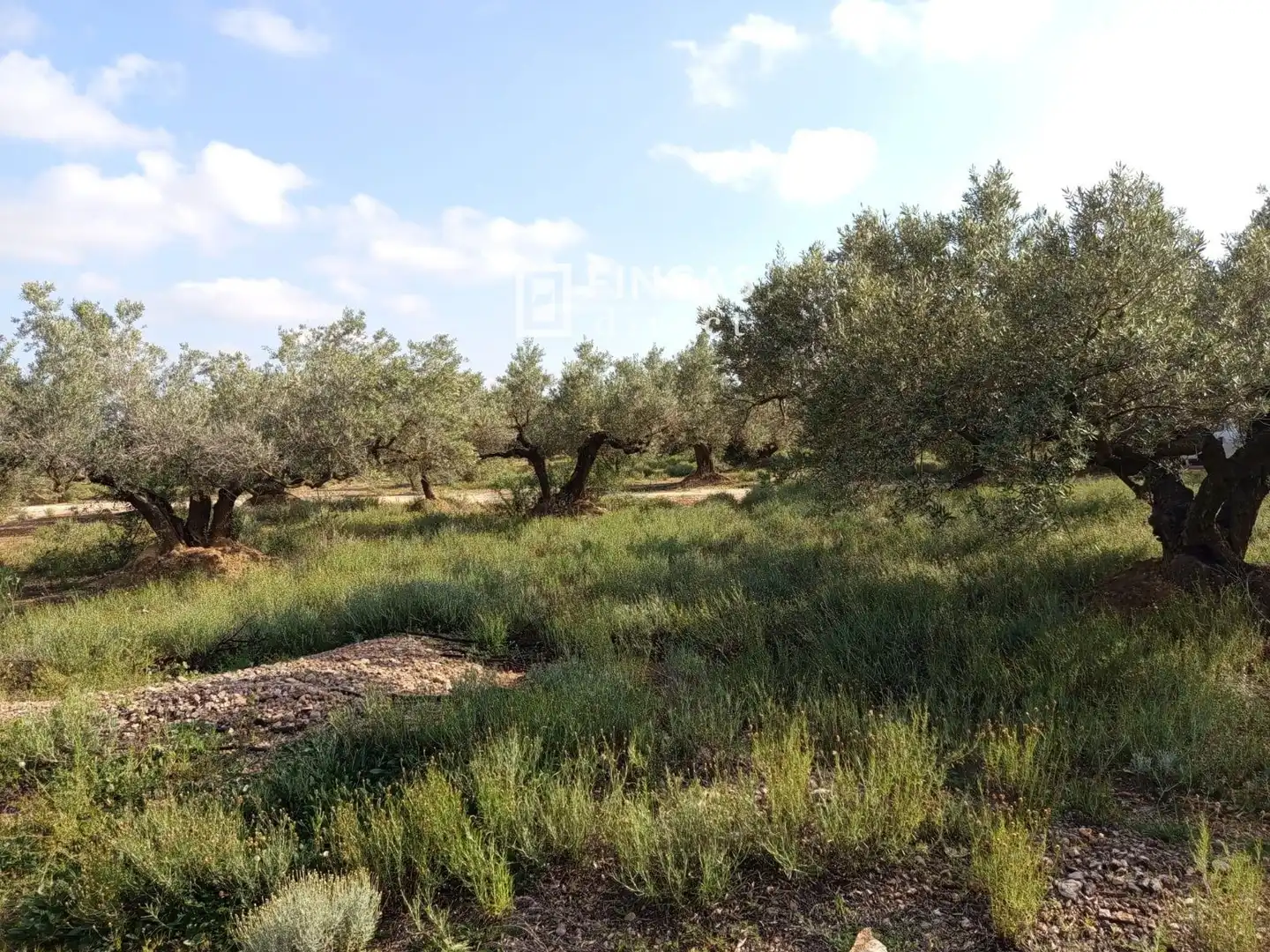 Country house for sale in QJMJ+85J, imagen 14